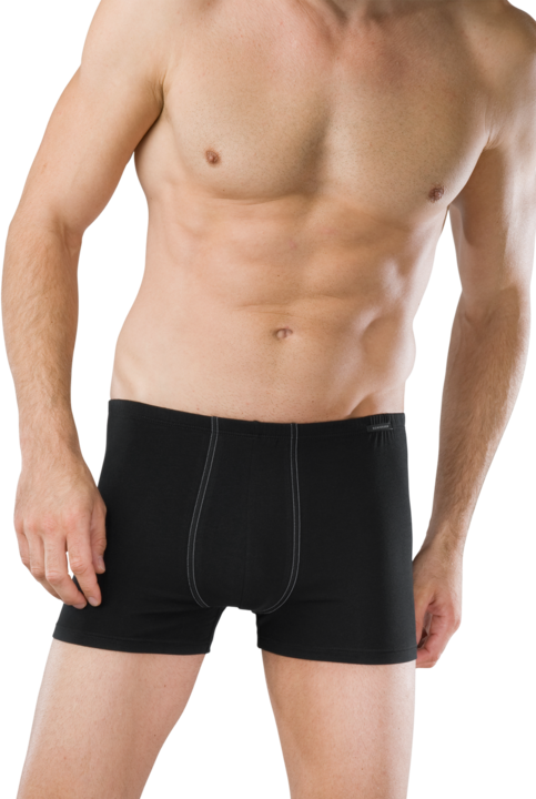 Actual product image Schiesser Essential 2PACK Shorts (4, pack of 2)