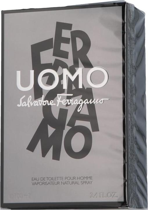 Immagine prodotto Salvatore Ferragamo S. Ferragamo Uomo Pour Homme Edt Spray (Eau de toilette, 100 ml)