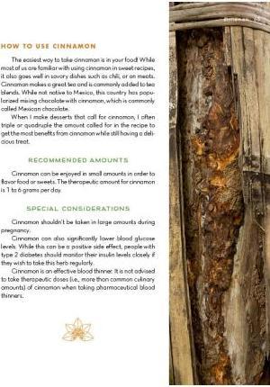 Produktbild The Alchemy of Herbs (Englisch)