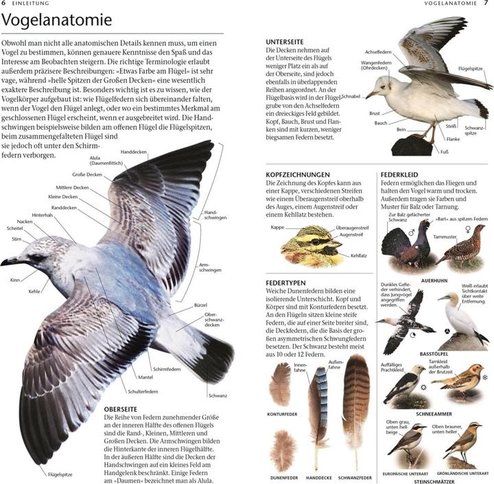 Produktbild Vögel (Deutsch, Eva Sixt, John Woodward, Jonathan Elphick, 2023)