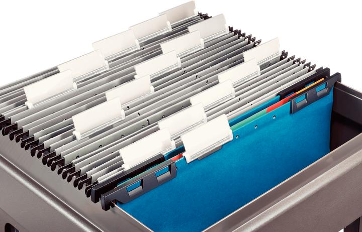 Actual product image Leitz File folder (A4, 1x)