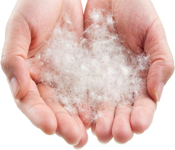 Productafbeelding Lowland OUTDOOR Donzen slaapzak - Ranger Comfort - 230 x 80 cm (incl. capuchon) - 1195gr - 0C - Nylon (230 cm)