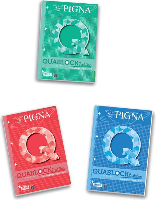 Produktbild Pigna Packung mit 5 geleimten Quablocks A4 (A4, Kariert)