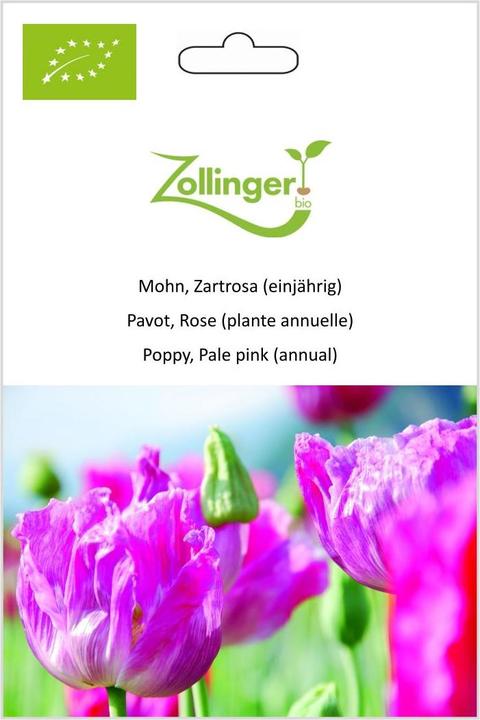 Immagine prodotto Zollinger Bio Papavero, rosa pallido (annuale) (Germogli)