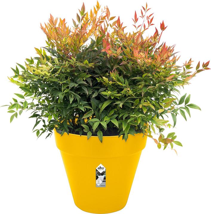 Produktbild Elho Loft Urban (49 x 45 cm)