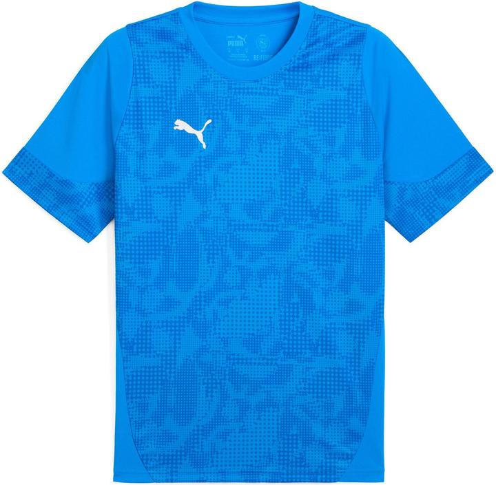 Electro Royal-PUMA Silver-PUMA Team Royal