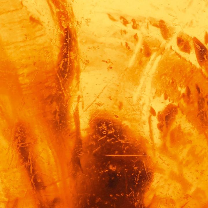 Actual product image Davidoff Cool Water - Intense (Eau de parfum, 40 ml)