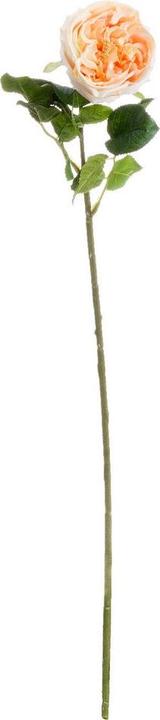 Immagine prodotto Hill Interiors Fiore artificiale (72 cm)