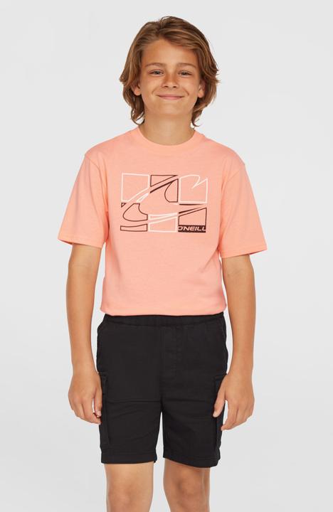 Produktbild O'Neill Cargo Shorts (152)