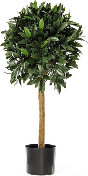 dekorative blumenständer Runder Blumenständer aus Eiche