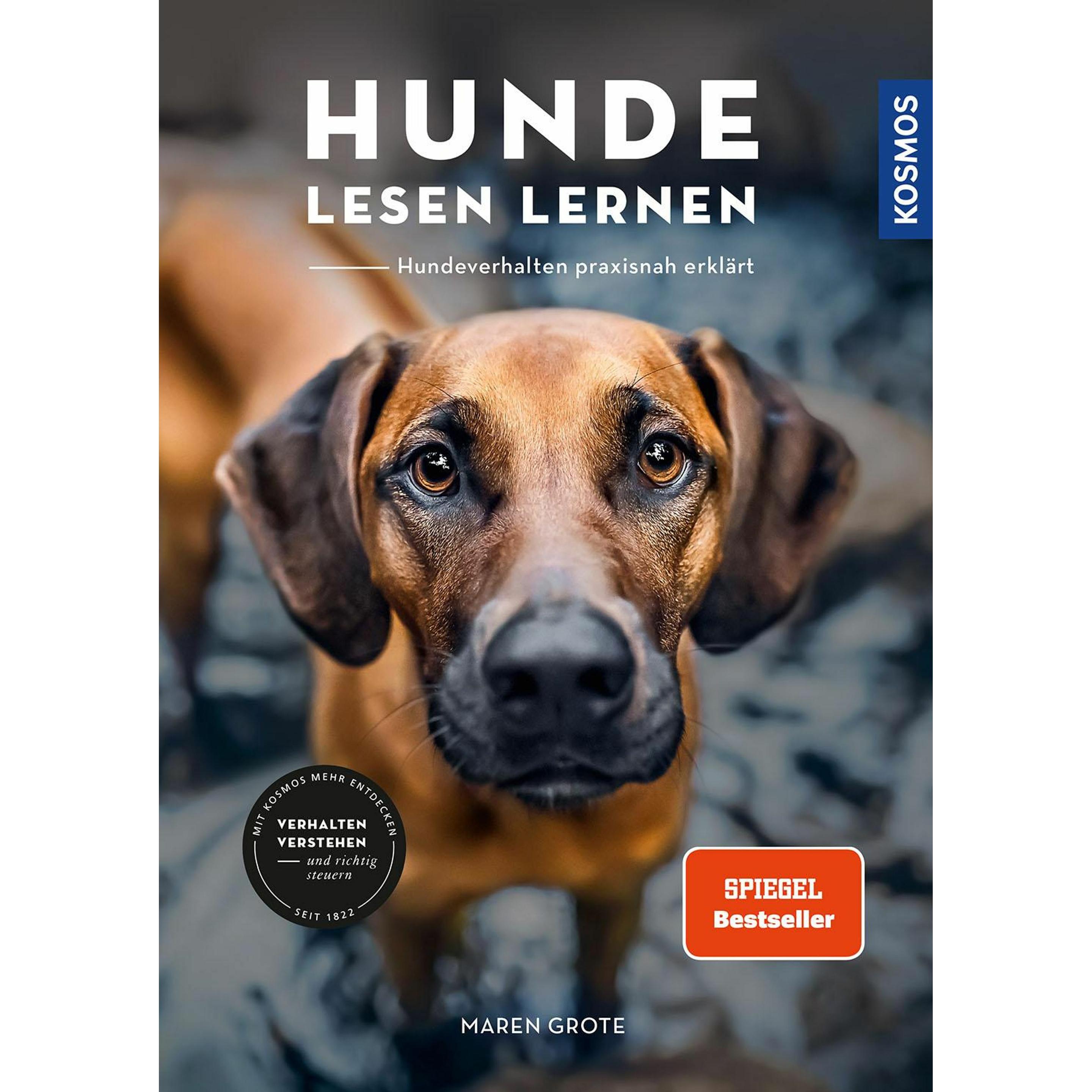 Hunde lesen lernen, Ratgeber von Maren Grote