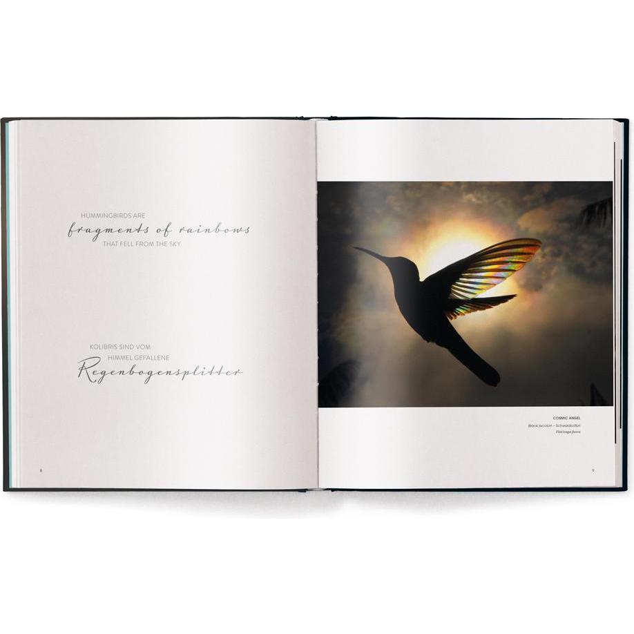 Thumbnail - Birds, Sachbücher von Christian Spencer