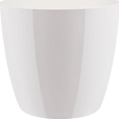 Immagine prodotto Elho Diamante di Bruxelles (14 cm)