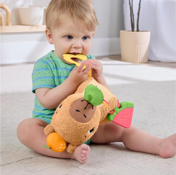 Productafbeelding Fisher-Price Kuschel-Capybara (23.50 cm)
