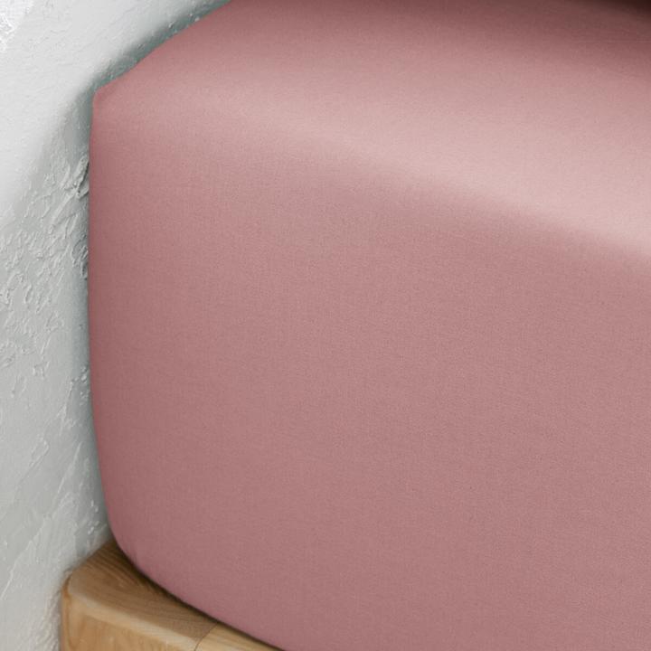 Produktbild La Redoute Interieurs Fixleintuch Scenario aus Baumwollperkal (180 x 200 cm)