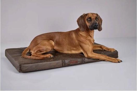 Actual product image Wolters Vintage (Dog)