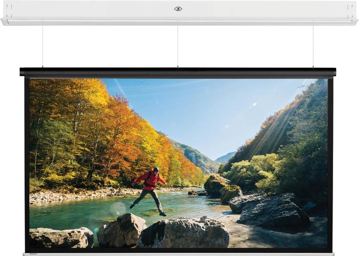 Projecta DescenderPro (103.54", 4:3)