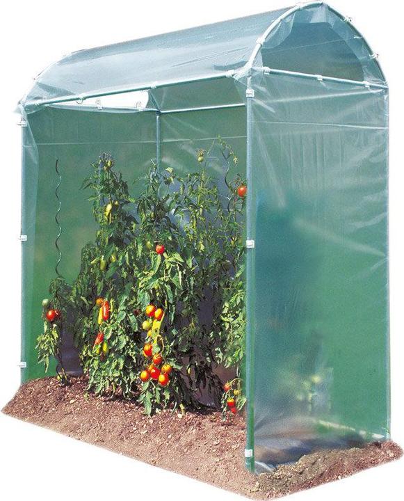 Brühwiler Tomaten- und Gemüsegewächshaus Swiss Design