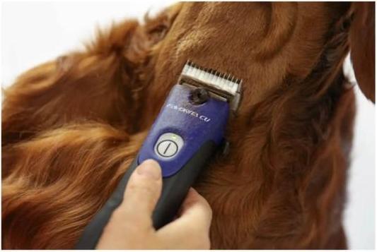 Image du produit Kerbl Favorita CLi, 2 batterie bleu nuit (Chien, Chat, Cheval)
