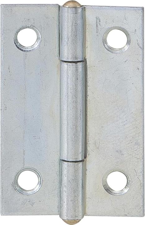 Actual product image Voss Helme Rolled, narrow hinges H.40mm W.26mm P.0.9mm STA galvanised VORMANN (000501040Z)