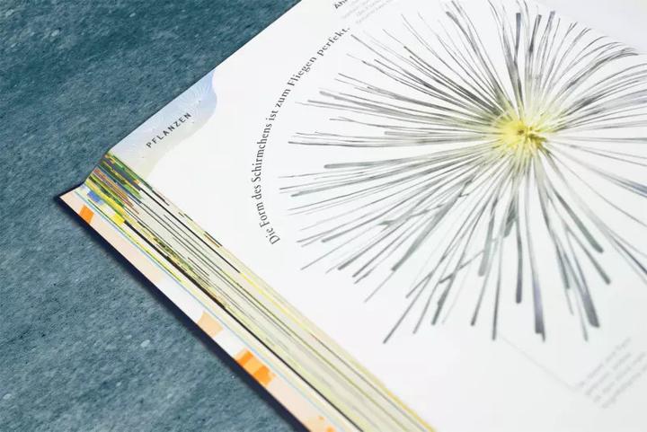 Produktbild Grosse und kleine Schätze der Natur (Deutsch, Ben Hoare, 2022)