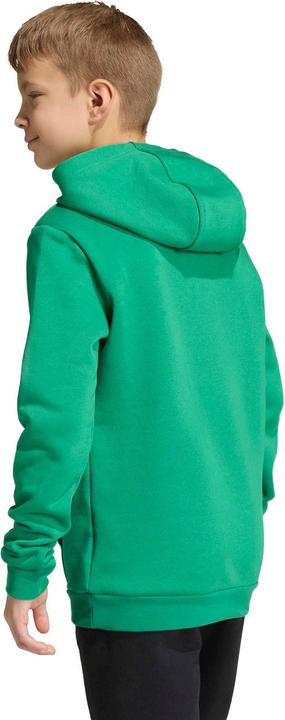 Produktbild Adidas Kinder-Sweatshirt Entrada Kapuzenpullover grün (164)