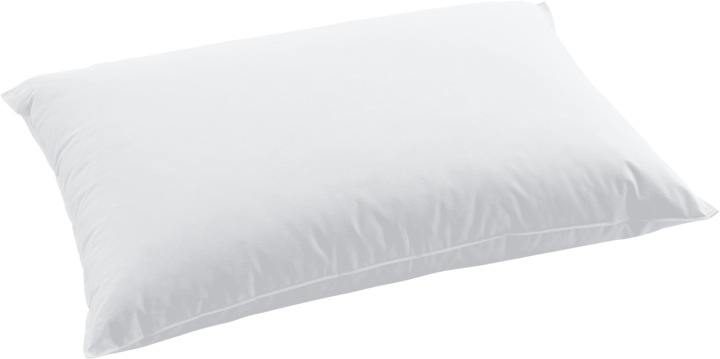 Swiss Dream by billerbeck CLC 90 Pillow