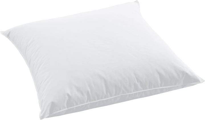 Actual product image Swiss Dream by billerbeck CLC 90 Pillow (65 x 65 cm)