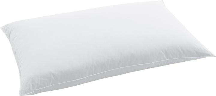 Swiss Dream by billerbeck CLC 90 Pillow