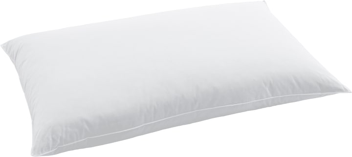Actual product image Swiss Dream by billerbeck CLC 90 Pillow (65 x 100 cm)