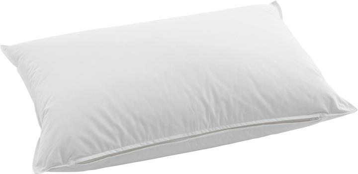 Actual product image Swiss Dream by billerbeck Piuma Pillow Classic 90 (50 x 70 cm)