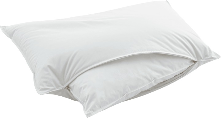 Immagine prodotto Swiss Dream by billerbeck Cuscino Piuma Classic 90 (50 x 70 cm)