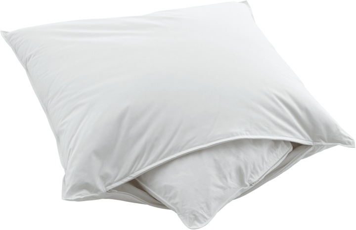 Immagine prodotto Swiss Dream by billerbeck CLC 90 Piuma (65 x 65 cm)