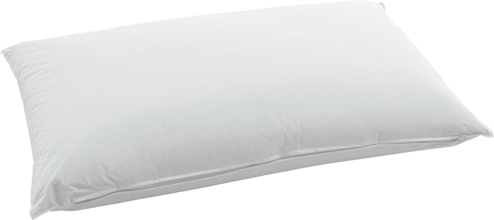 Swiss Dream by billerbeck CLC 90 Piuma Pillow