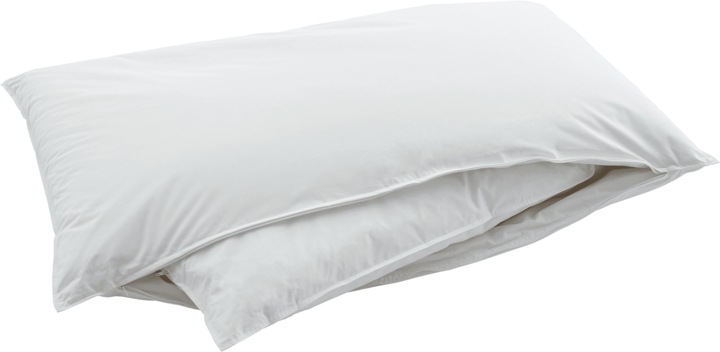 Immagine prodotto Swiss Dream by billerbeck Cuscino CLC 90 Piuma (65 x 100 cm)