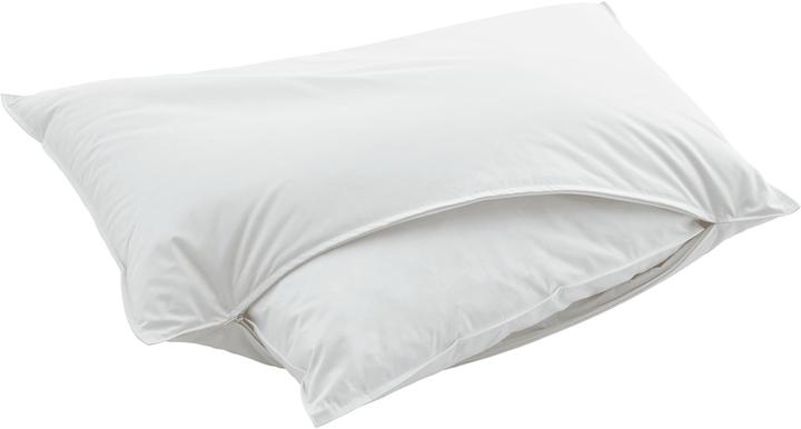 Actual product image Swiss Dream by billerbeck Piuma Pillow Classic 90 (50 x 70 cm)