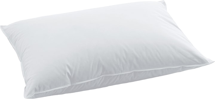 Actual product image Swiss Dream by billerbeck BSC 80 Soft Pillow (50 x 70 cm)