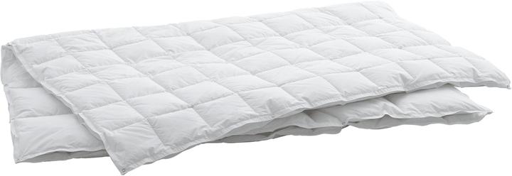 Actual product image Swiss Dream by billerbeck CLC 90 Caro 4 seasons (900 g, 160 x 210 cm)