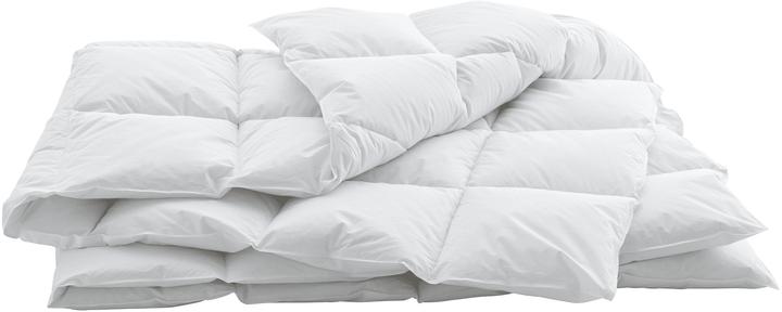 Produktbild Swiss Dream by billerbeck Caro (940 g, 200 x 210 cm)