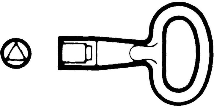 Actual product image Schneider Electric Triangular lock