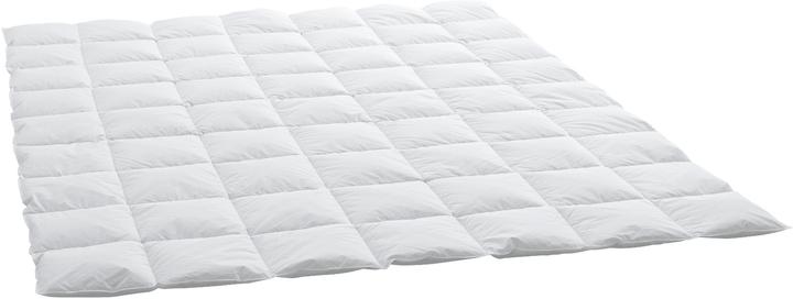 Immagine prodotto Swiss Dream by billerbeck Caro Classic 90 (520 g, 160 x 240 cm)