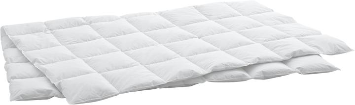 Immagine prodotto Swiss Dream by billerbeck Caro Classic 90 (520 g, 160 x 240 cm)