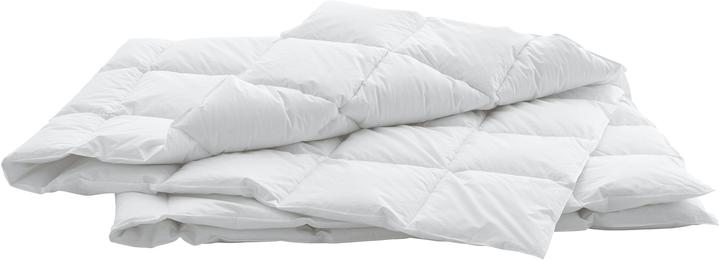 Immagine prodotto Swiss Dream by billerbeck Caro Classic 90 (520 g, 160 x 240 cm)