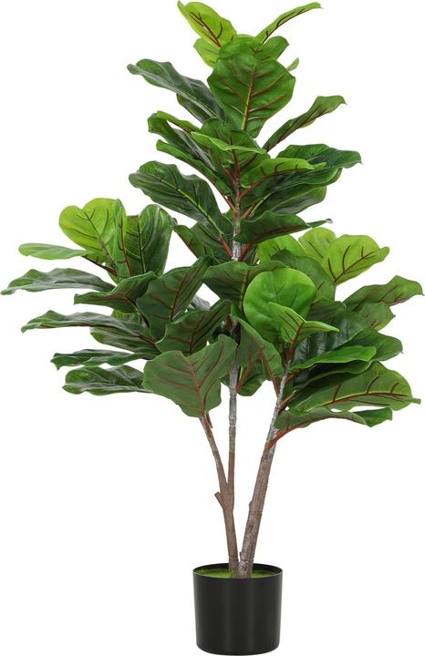 kentia palme allergie Kentia Palme online Kaufen – MyZimmerpflanze.de main image 0