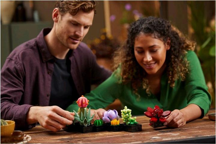 Image du produit LEGO Les succulentes (10309, LEGO Botanical, LEGO difficiles à trouver)