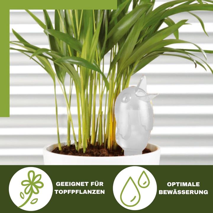 Produktbild Scheurich 8er-Set Wasserspender Bördy S (Bewässerungskugeln)