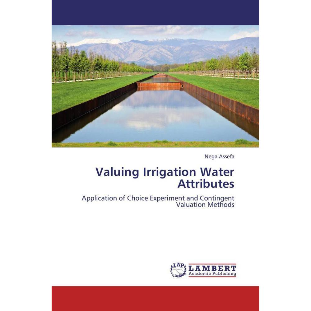 Valuing Irrigation Water Attributes, Fachbücher von Nega Assefa