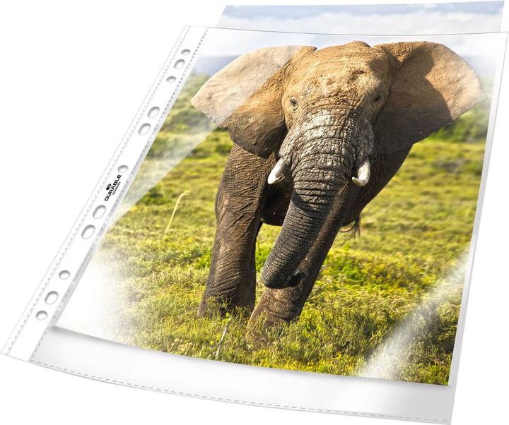 Immagine prodotto Durable Copertina dell'opuscolo (A4, 100 x)