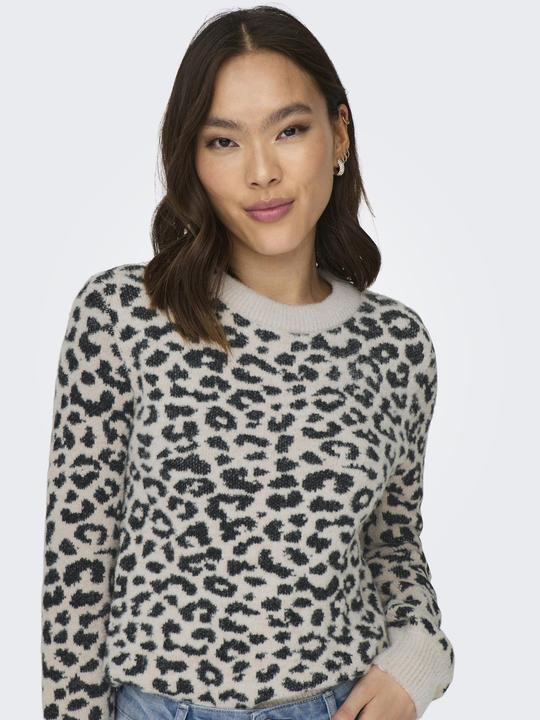 Image du produit JdY JDYLORRAINE Pulls en maille (L)
