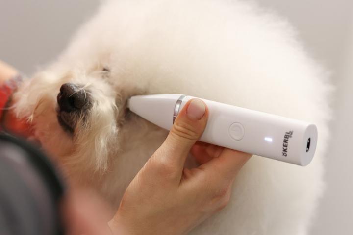 Image du produit Kerbl Tondeuse multi-fonctions sans fil Pet 4in1 (Chat, Chien, Petit animal)